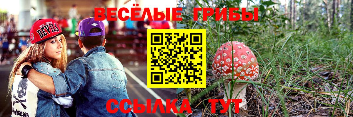 что такое   Галлюциногенные грибы MAGIC MUSHROOMS  Вход с VPN  Норильск 